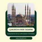 Çukurova web tasarım